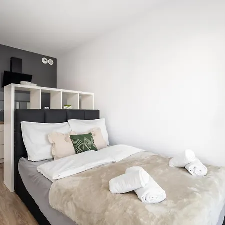 公寓 Apartament W Sercu Poznania - Zwierzyniecka 波兹南